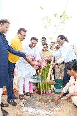 कृष्ण कुंज में लगाए गए 250 छायादार और फलदार पौधे