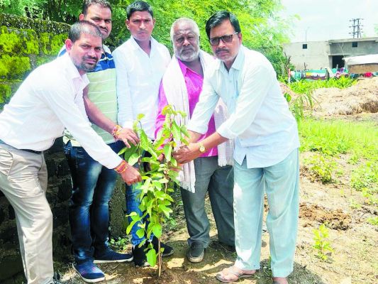 साहू समाज ने किया पौधरोपण
