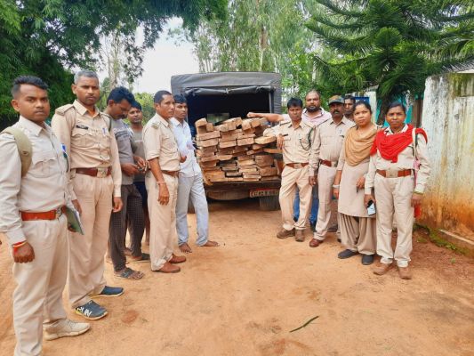 सागौन, साल-बीजा के 76 चिरान जब्त