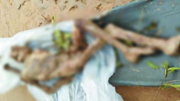 खेत में मिली महिला की  सड़ी-गली लाश