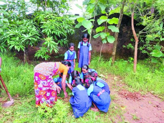 मुख्यमंत्री के जन्मदिन पर स्कूलीबच्चों ने रोपे पौधे