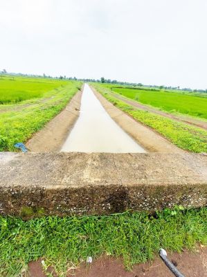 नहर नाली में पानी छोड़ा जा रहा है, किसान खुश 