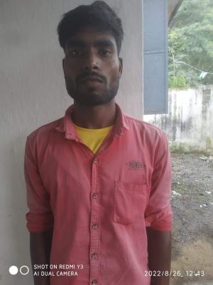 मवेशियों को ओडिशा के बूचडख़ाने ले जाते तस्कर गिरफ्तार, 19 मवेशियों को कराया मुक्त  