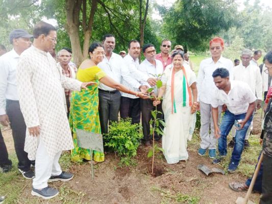 प्रदेश अध्यक्ष मोहन मरकाम के जन्मदिन पर पौधारोपण