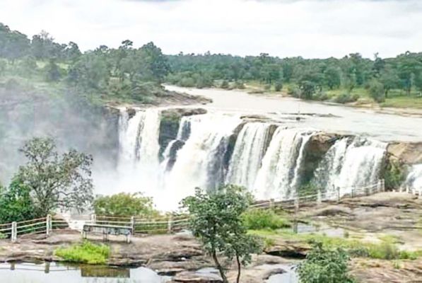 पर्यटन स्थल अमृतधारा को नई पहचान देगा जैव विविधता पार्क