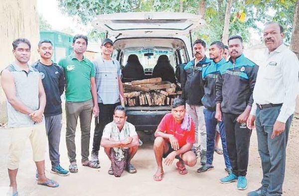 सागौन चिरान परिवहन करते दो गिरफ्तार