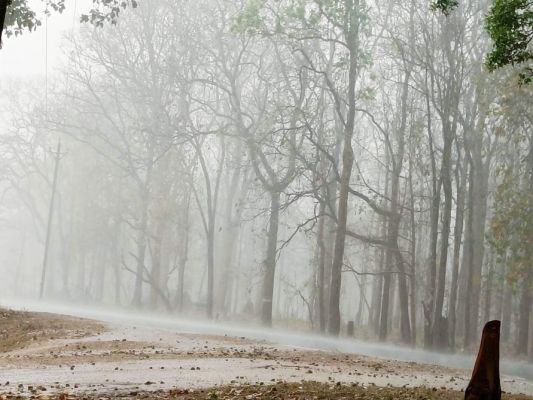 जिले में अब तक 1264.8 मिमी औसत बारिश दर्ज, 24 घंटे में गिरा 18.6 मिमी पानी