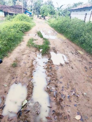 केल्हारी में सडक़ निर्माण के लिए 1 करोड़ मंजूर