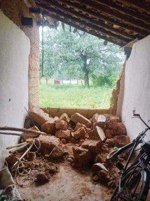 हाथी दल फसलों को पहुंचा रहा नुकसान, वन परिक्षेत्र उदयपुर में 5 दिनों से कर रहे विचरण