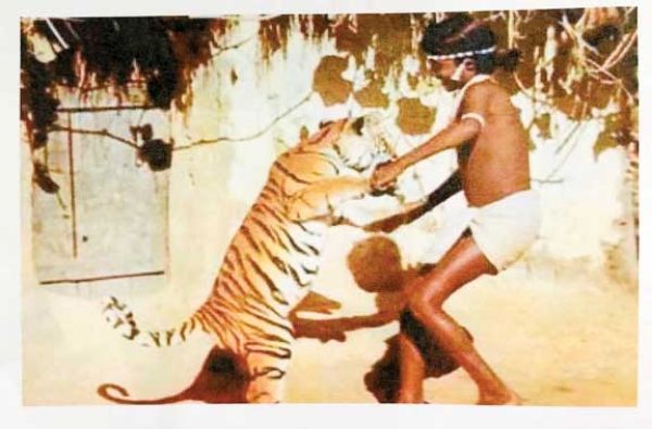 चेंदरू मंडावी की आदमकद प्रतिमा की होगी स्थापना