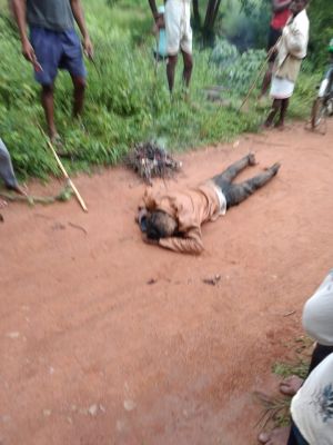 हाथी ने 2 को कुचला, एक की मौत, दूसरा गंभीर