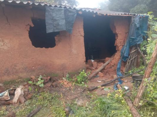 दस दिनों से हाथी दल ने उदयपुर वन परिक्षेत्र में जमाया डेरा