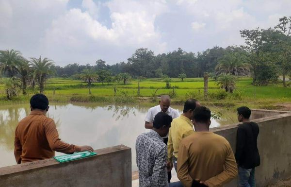 माइक्रो वाटरशेड योजना का संयुक्त सीईओ ने किया निरीक्षण