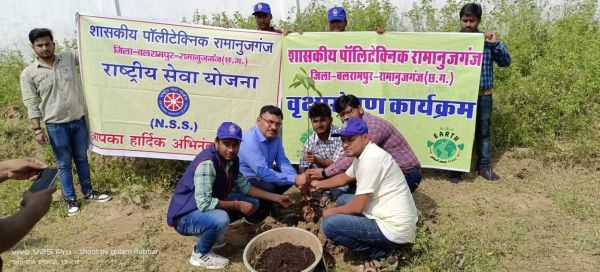 पॉलिटेक्निक कॉलेज में रोपे पौधे