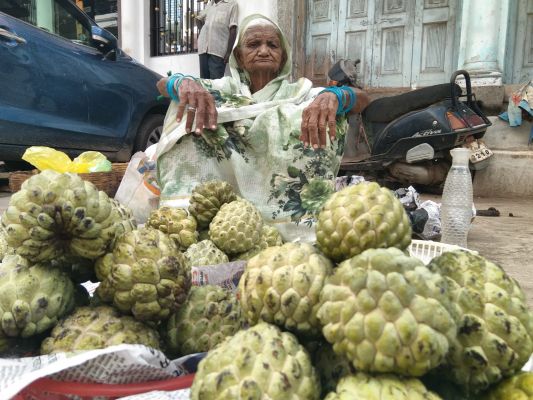 मौसमी फल सीताफल से महका शहर