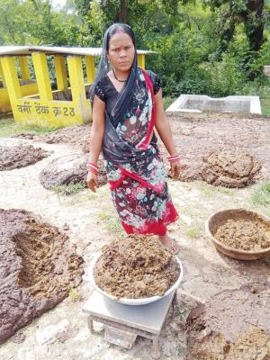 गोबर बेचकर पशुपालक, किसान, ग्रामीण बन रहे लखपति