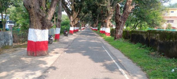 नेता प्रतिपक्ष के वार्ड में कई विकास कार्य