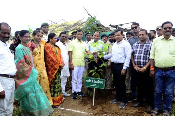साल और बीजा के पौधे लगाने के लिए हर साल बस्तर दशहरा में मनाया जाएगा पौधरोपण का रस्म