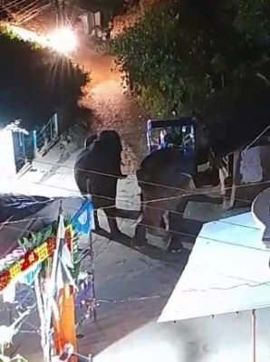 दंतैल हाथियों की दहशत, गंगरेल डूबान के कई स्कूलों में छुट्टी