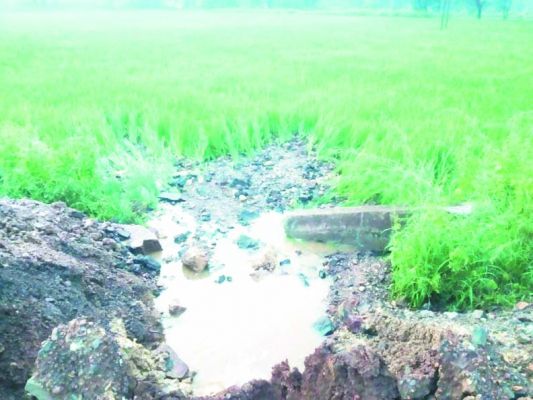 खड़ी फसलों में मुरम, गिट्टी, बोल्डर, कार्रवाई की मांग