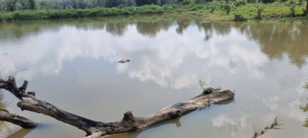 तालाब में डूबने से अधेड़ की मौत