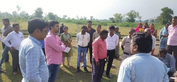 करमदा गोठान में गाय की मौत, कलेक्टर ने कराई जांच, निमोनिया से हुई गाय की मौत - रिपोर्ट