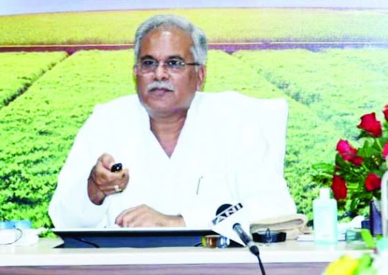 प्रदेश के 20 केंद्रों में अरहर-मूंग, और उड़द की समर्थन मूल्य पर खरीद