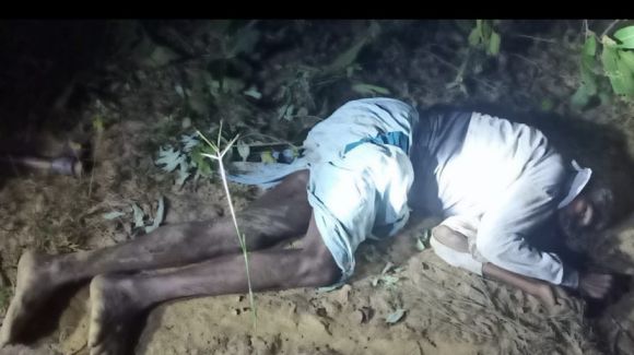 बुजुर्ग को हाथी ने कुचलकर मार डाला