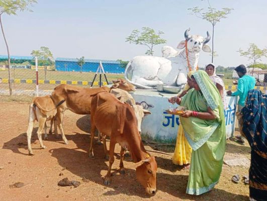 जिले में उत्साहपूर्वक मनाया गया गौठान दिवस