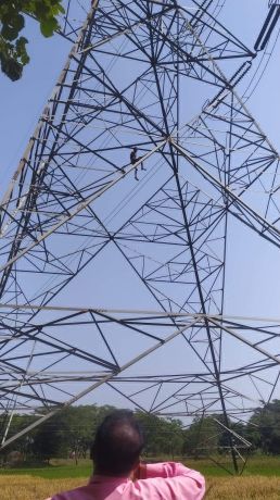 हाईटेंशन टॉवर पर चढ़ा मनोरोगी