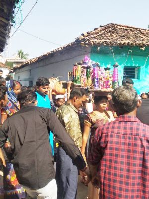 दो दिन चला गौरी-गौरा उत्सव, अब ध्यान कटाई-मिंजाई में