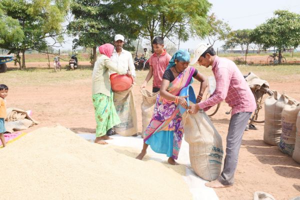धान खरीदी महाभियान आज से शुरू,  किसानों में भारी उत्साह
