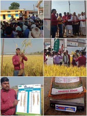 सिंजेंटा कंपनी ने किसानों को फसल के बारे में दी जानकारी