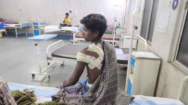 तीन भालुओं ने युवक पर किया हमला, मरने का नाटक कर बचाई जान, भर्ती