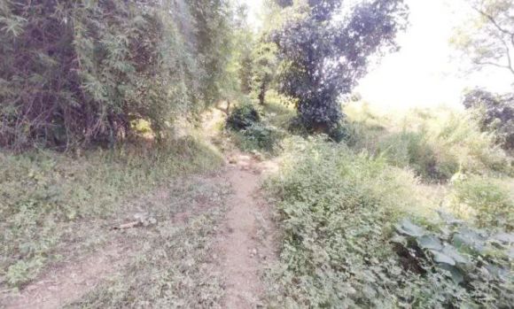 जंगली सुअर मारने बिछाये करंट प्रवाहित तार से पिता की मौत, बेटा बाल-बाल बचा, संदेहियों से पूछताछ