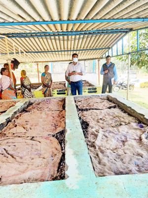 सीईओ ने गम्हरिया गौठान  का किया निरीक्षण