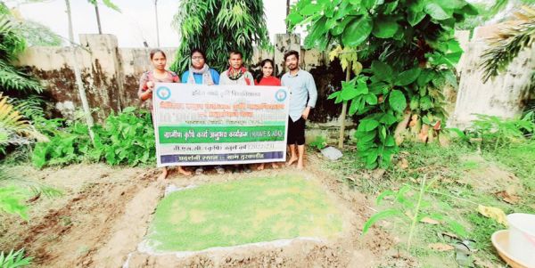 तुर्काडीह के किसानों को एजोला उत्पादन की तकनीक बताई