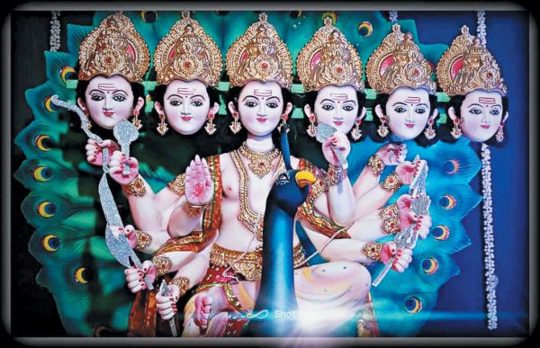 श्याम कार्तिक महोत्सव का आयोजन