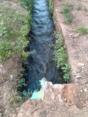 खेत में नहर का पानी, खड़ी धान की फसल भीगा,  किसान नाराज