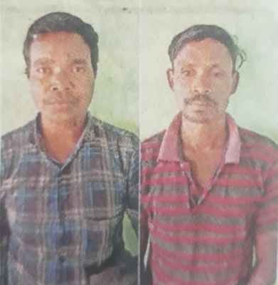 करंट से हाथी की मौत, 2 बंदी