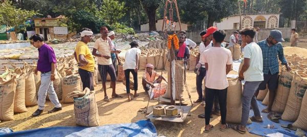 जिले में समर्थन मूल्य पर मक्का उपार्जन  के लिए 49 खरीदी केन्द्र निर्धारित