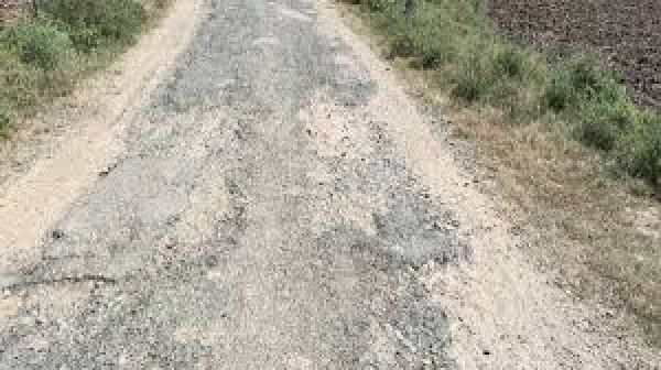 प्रतिबंध के बावजूद धड़ल्ले से दौड़ रहे भारी वाहन