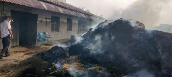 पैरा भरी ट्रैक्टर-ट्रॉली में लगी आग, काबू