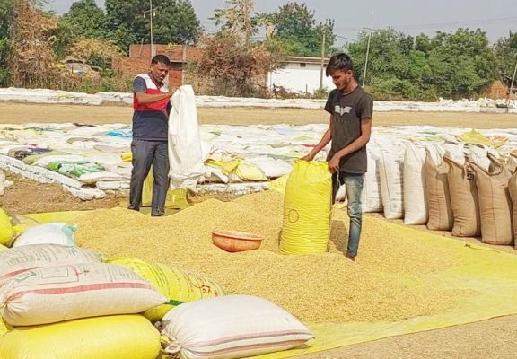 अब तक 130 उपार्जन केन्द्रों में 37 हजार 59 मीट्रिक टन धान की हुई खरीदी