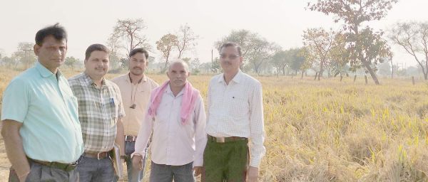 बीज उत्पादन कार्यक्रम से किसान को हो रहा फायदा