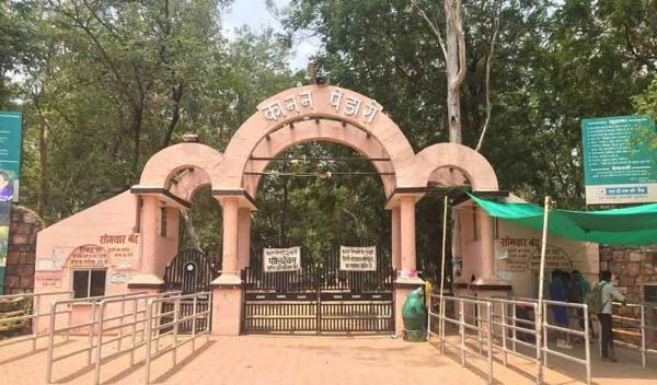 रेस्क्यू कर लाए गए घायल भालू की कानन पेंडारी जू में मौत