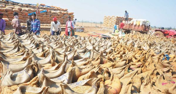 किसानों को घर बैठे मिल रहा टोकन, बेरोकटोक हो रही है धान खरीदी