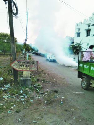वार्डों में सफाई व दवा का छिडक़ाव