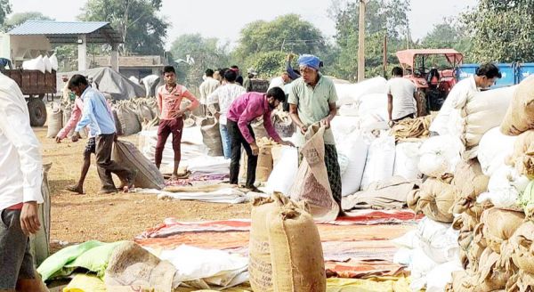 जिले के 30 हजार किसानों ने बेचा धान, 89 करोड़ रुपए कर्ज वसूली भी