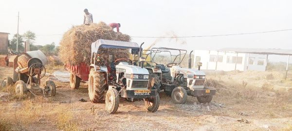 सरपंच एवं गौठान सदस्यों ने किया पैरादान